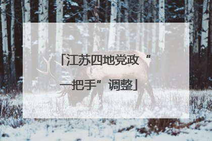 江苏四地党政“一把手”调整