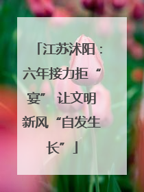 江苏沭阳：六年接力拒“宴” 让文明新风“自发生长”