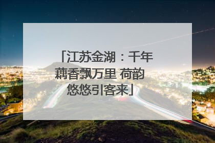 江苏金湖：千年藕香飘万里 荷韵悠悠引客来