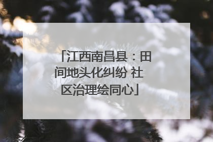 江西南昌县：田间地头化纠纷 社区治理绘同心