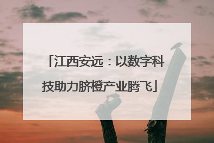 江西安远：以数字科技助力脐橙产业腾飞