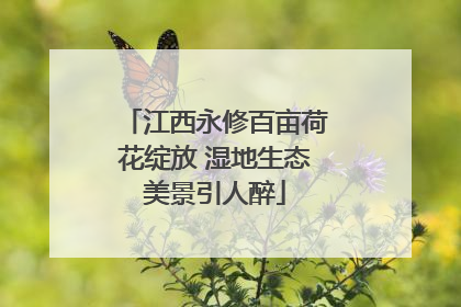 江西永修百亩荷花绽放 湿地生态美景引人醉