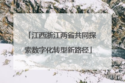 江西浙江两省共同探索数字化转型新路径