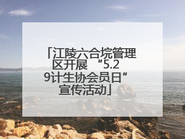 江陵六合垸管理区开展 “5.29计生协会员日”宣传活动