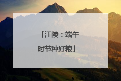 江陵：端午时节种好粮