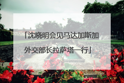 沈晓明会见马达加斯加外交部长拉萨塔一行