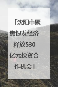 沈阳市聚焦银发经济释放530亿元投资合作机会