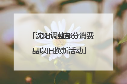 沈阳调整部分消费品以旧换新活动