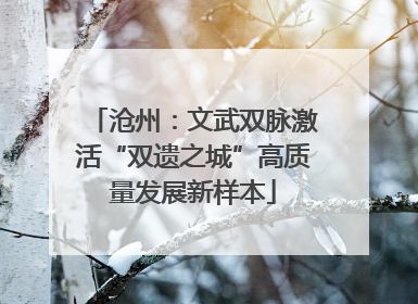 沧州：文武双脉激活“双遗之城”高质量发展新样本