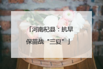 河南杞县：抗旱保苗战“三夏”
