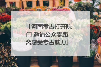 河南考古打开院门 邀请公众零距离感受考古魅力