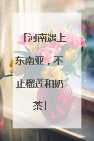 河南遇上东南亚，不止榴莲和奶茶