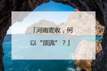 河南麦收，何以“顶流”？