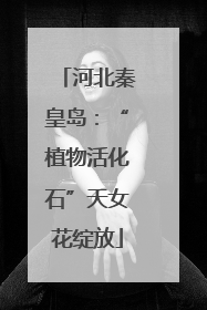 河北秦皇岛：“植物活化石”天女花绽放