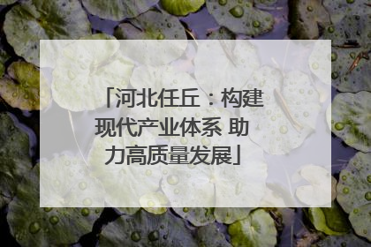 河北任丘：构建现代产业体系 助力高质量发展