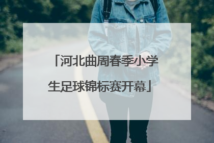 河北曲周春季小学生足球锦标赛开幕