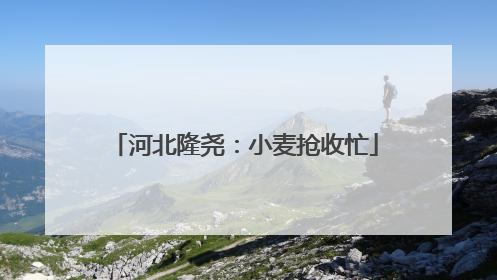 河北隆尧：小麦抢收忙