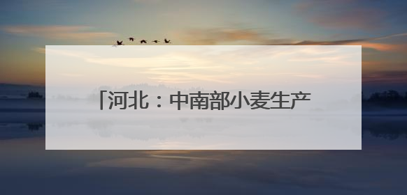 河北：中南部小麦生产区遭遇高温干热风考验