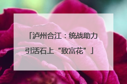泸州合江：统战助力引活石上“致富花”