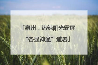 泉州：热辣阳光霸屏 “各显神通”避暑