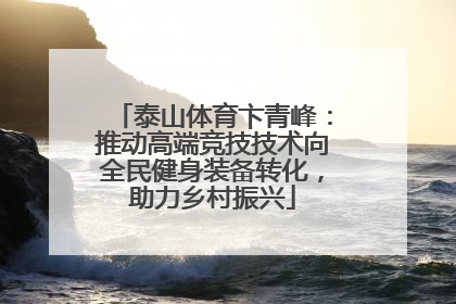 泰山体育卞青峰：推动高端竞技技术向全民健身装备转化，助力乡村振兴