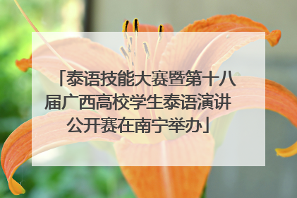 泰语技能大赛暨第十八届广西高校学生泰语演讲公开赛在南宁举办
