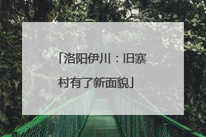 洛阳伊川：旧寨村有了新面貌