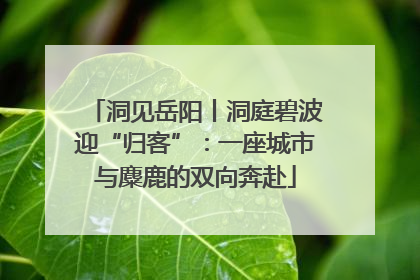 洞见岳阳丨洞庭碧波迎“归客”：一座城市与麋鹿的双向奔赴