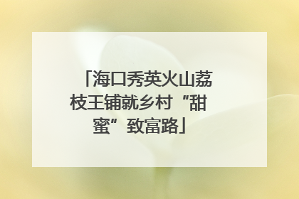 海口秀英火山荔枝王铺就乡村“甜蜜”致富路
