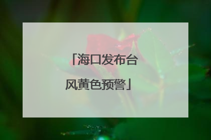 海口发布台风黄色预警