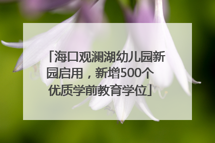 海口观澜湖幼儿园新园启用，新增500个优质学前教育学位