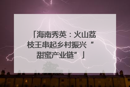 海南秀英：火山荔枝王串起乡村振兴“甜蜜产业链”