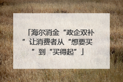 海尔消金“政企双补”让消费者从“想要买”到“买得起”