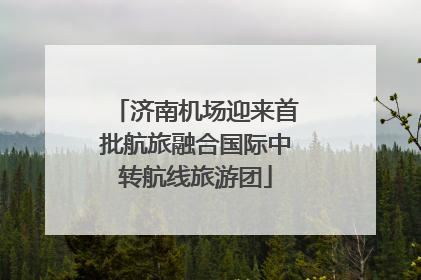 济南机场迎来首批航旅融合国际中转航线旅游团