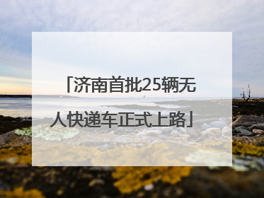 济南首批25辆无人快递车正式上路