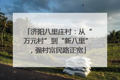 济阳八里庄村：从“万元村”到“新八里”，强村富民路正宽