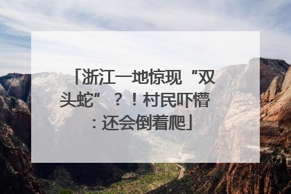 浙江一地惊现“双头蛇”？！村民吓懵：还会倒着爬