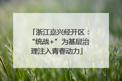 浙江嘉兴经开区：“统战+”为基层治理注入青春动力