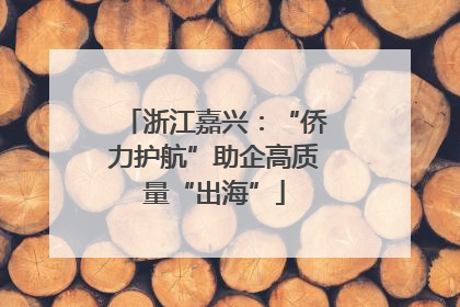 浙江嘉兴：“侨力护航”助企高质量“出海”