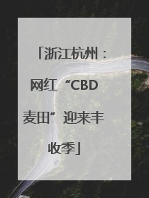 浙江杭州：网红“CBD麦田”迎来丰收季