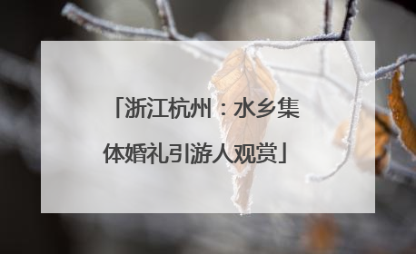 浙江杭州：水乡集体婚礼引游人观赏