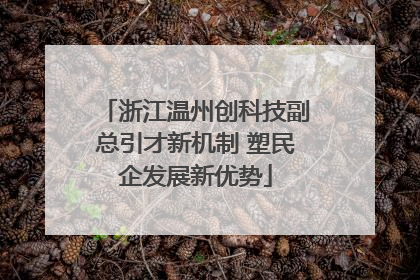 浙江温州创科技副总引才新机制 塑民企发展新优势