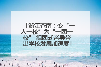 浙江苍南：变“一人一校”为“一团一校” 组团式督导督出学校发展加速度