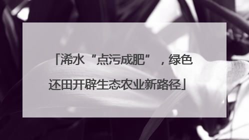 浠水“点污成肥”，绿色还田开辟生态农业新路径
