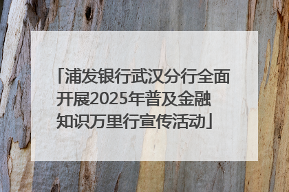 浦发银行武汉分行全面开展2025年普及金融知识万里行宣传活动