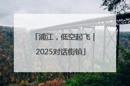 浦江，低空起飞｜2025对话街镇