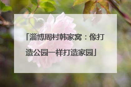 淄博周村韩家窝：像打造公园一样打造家园