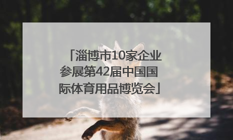 淄博市10家企业参展第42届中国国际体育用品博览会