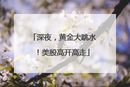 深夜，黄金大跳水！美股高开高走