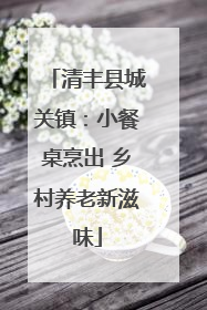 清丰县城关镇：小餐桌烹出 乡村养老新滋味